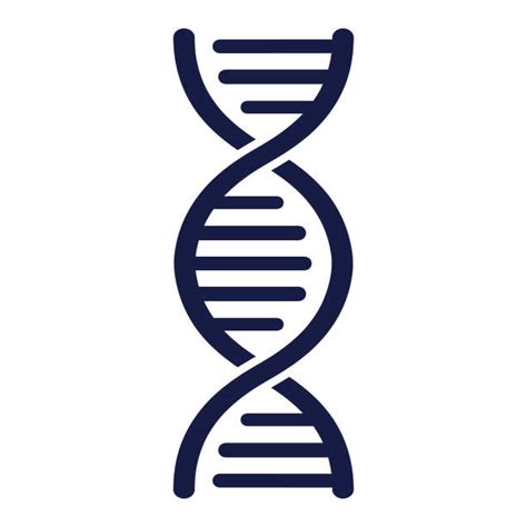 Dna Helix Stock Photos Pictures And Royalty Free Images Istock