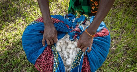 Nachhaltige Baumwolle Cotton Made In Africa Und Der Wwf Wwf