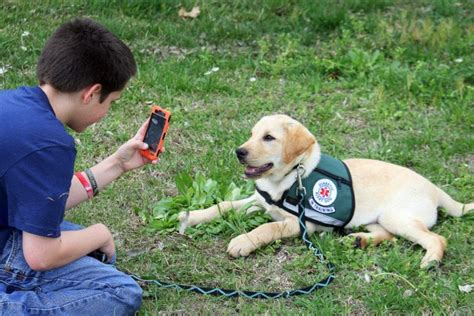 Joseph Met His Future Diabetic Alert Dog Bolt Diabetic Service Dogs