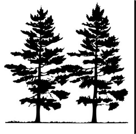 Pine Tree Clipart Black And White Clipartix Clipground Fir Bodaswasuas