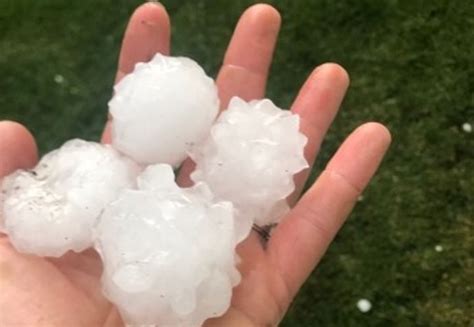 Grapefruit Sized Hail Hammered Spruce Grove As Thunderstorm Swept