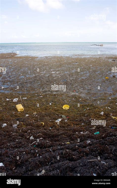 Trash And Debris Blown Onto The Shore Of Ambergris Caye In Belize Stock