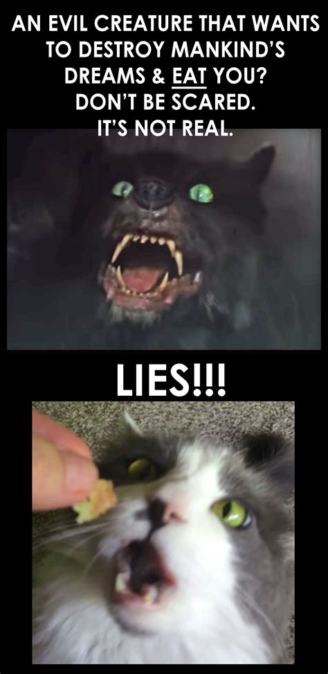 My Cat Is Gamork Scary Cat Cat Memes Creatures
