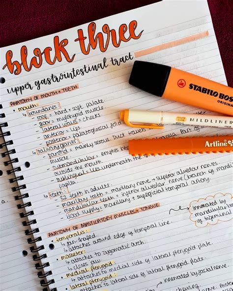 Studygram 📚 On Instagram Orange Theme For This Set Of Notes 🧡🧡🧡