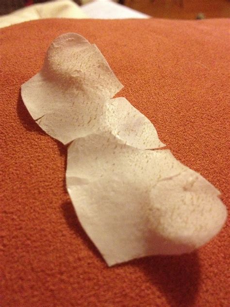16 Used Pore Strip Pics That Are Gross And Awesome At The Same Time