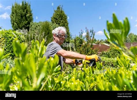 Hedge Trimmer Holding Hi Res Stock Photography And Images Alamy