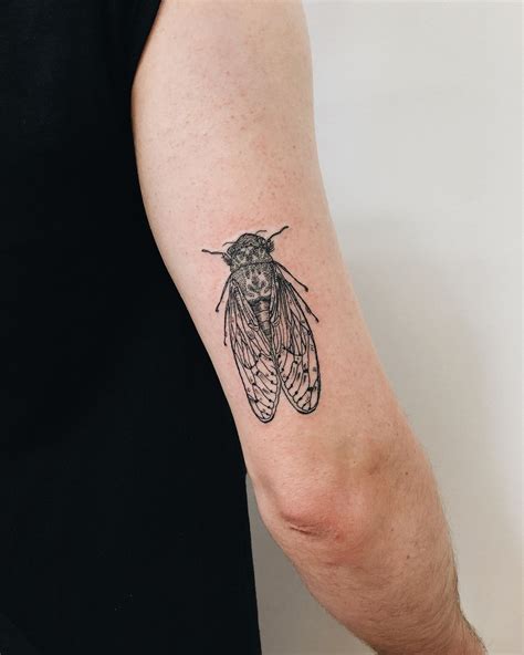 Cicada By Finley Jordan Mothmilk Cicada Tattoo Insect Tattoo Tattoos