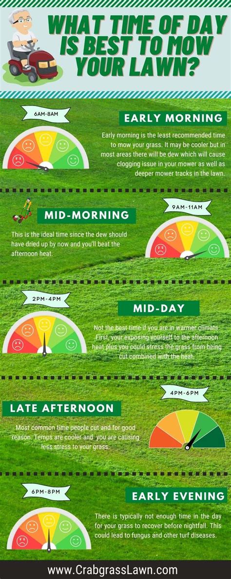 What Is The Best Time Of Day To Cut Your Grass Lawn Mowing Etiquette