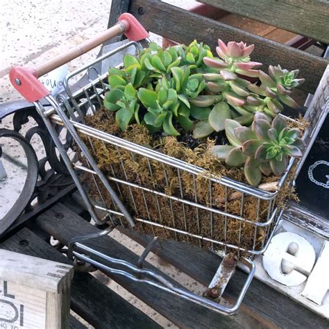 Ideas For Vintage Succulent Planters Seen On Our Trip To