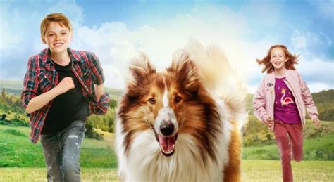 Lassie Eine Abenteuerliche Reise 2020 Filmonizirani
