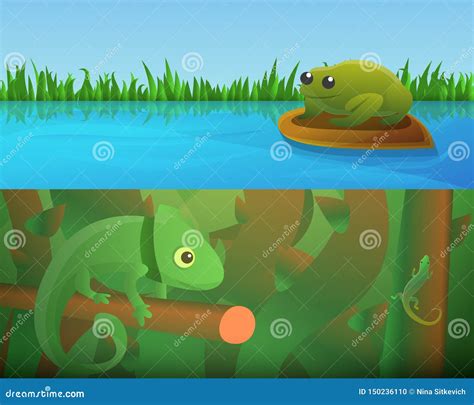 Reptiles And Amphibians Cartoon Frog Chameleon Crocodile Lizard And