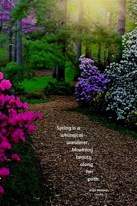Spring Quote With Blossoming Trees On A Forest Pathspring Is A