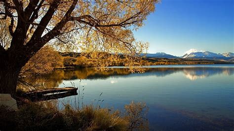 Hd Wallpaper Lake Wanaka New Zealand Lone Tree Lonely Tree Beauty