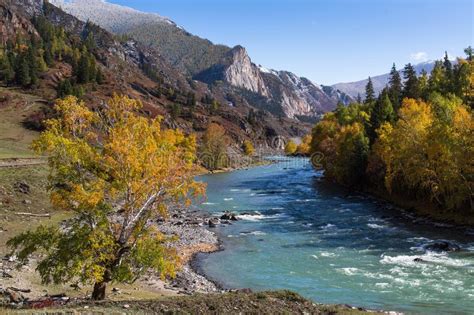 Katun River In The Altai Mountains Altai Republic Russia Nature