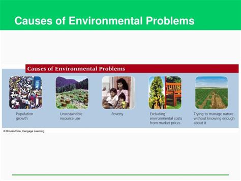 Ppt Environmental Problems Their Causes And Sustainability