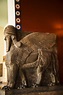 Leão Alado Assírio Num Dos Museus Da Ilha De Museu Em Berlim Foto de ...