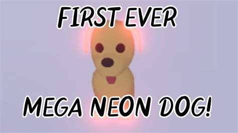 Trading In Adopt Me Mega Neon Fly Ride Dog Neon Adoption Dogs