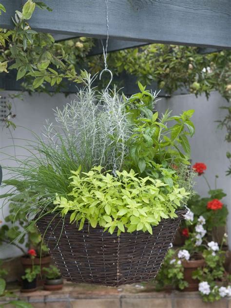 Hanging baskets are a great way to add a vertical dimension of color and interest in your yard. 114 best Hanging basket ideas at The Barn Nursery, TN ...