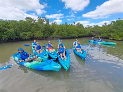 Marco Island Kayak Mangrove Ecotour Nella Rookery Bay Reserve