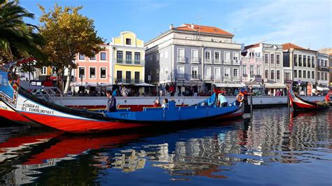 Among the vineyards of douro valley; Visit Aveiro in Portugal, City of Canals, Sweets and Beauty