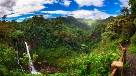 Ecotourisme Au Costa Rica Au Plus Proche De La Nature
