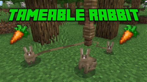 Tameable Rabbit Addon Youtube