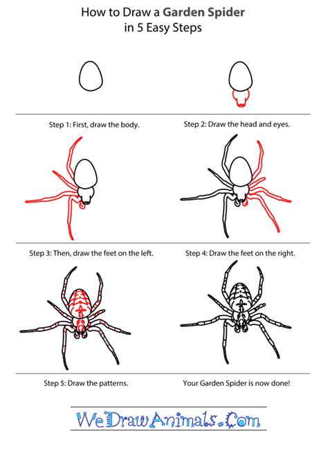 How To Draw A Spider Easy Step By Step Design Talk