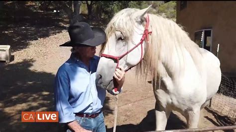 The Healing Power Of Horses Nbc Los Angeles