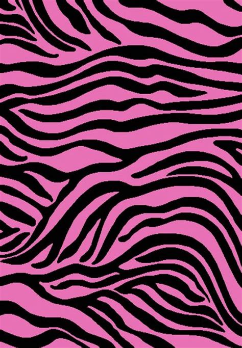 100 Pink Zebra Wallpaper Pictures Myweb