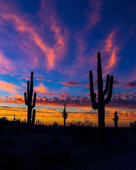 Arizona Sky Arizona Sunset Desert Sunset Nature Photography