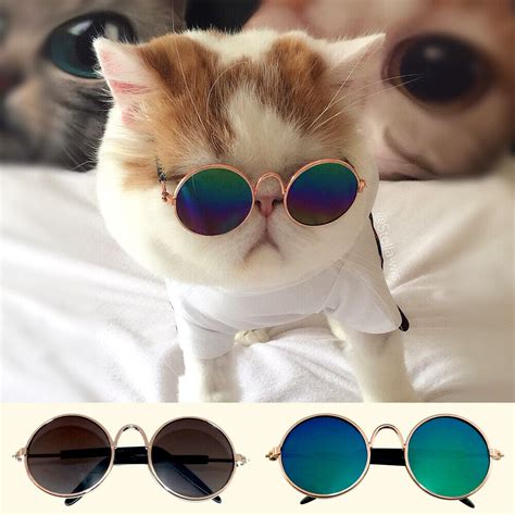 Cute Pet Cat Glasses Uv Sunglasses Protection Eye Wear Funny Kitty