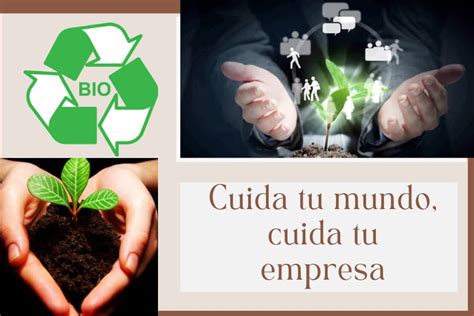 La Responsabilidad Ambiental Y Las Empresas Tacna Centro Chile