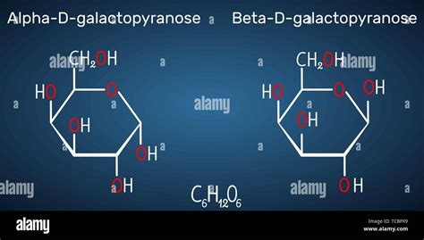 La Galactosa Alfa D Galactopyranose Beta D Galactopyranose Molécula