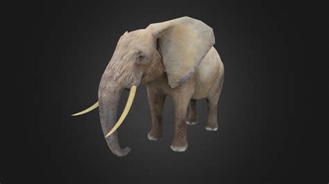 Elephant Download Free 3d Model By Filcomet 888cb87 Sketchfab