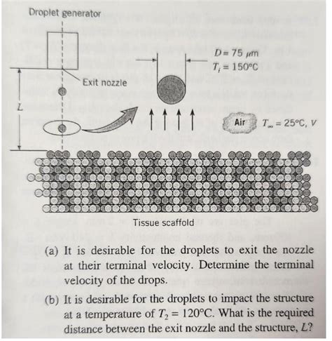 Solved Tissue Engineering Involves The Development Of Chegg