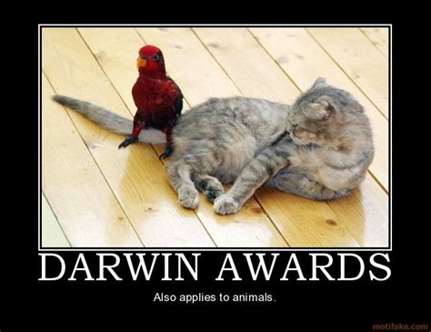 Darwin Award Animalsthe List Grows Pinterest