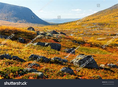Colorful Rocky Tundra In Front Of Malaya Belaya River Valley Between