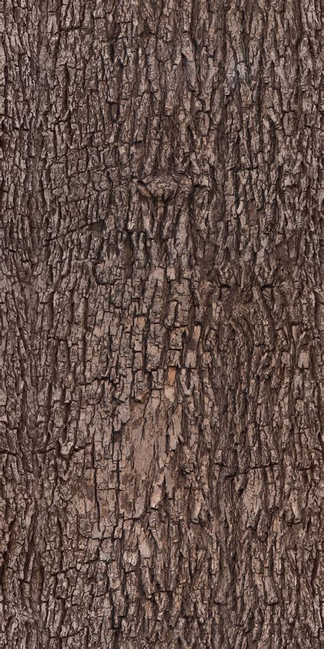 Tree Bark Texture Pattern Tree Bark Texture Tree Textures
