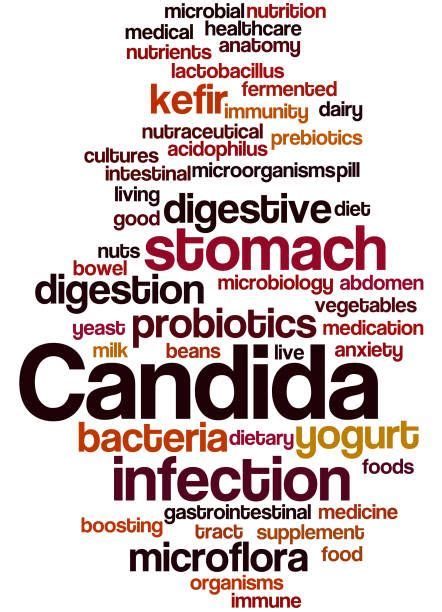 Candida Albicans Diet Food List Can You Eat Pumpkin On Candida Diet