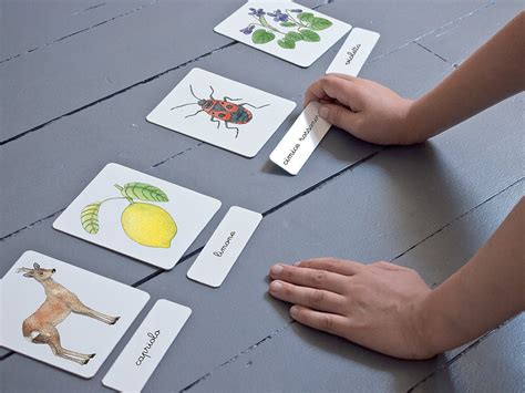 Carte Nomenclature Montessori Sviluppare Il Linguaggio E La Conoscenza