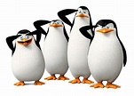Photo du film Les Pingouins de Madagascar - Photo 41 sur 70 - AlloCiné