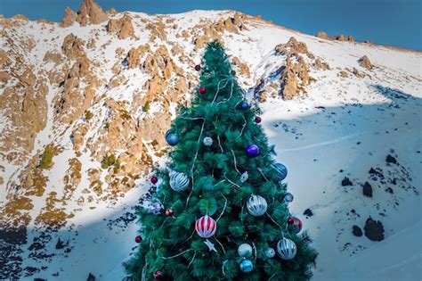 Premium Photo Christmas Tree In Mountain Snow Forest Christmas Tree