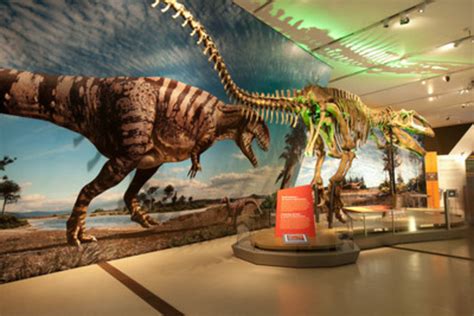 Hp Sets The Scene For Royal Ontario Museums Ultimate Dinosaurs Exhibition