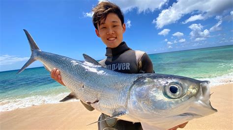 Hawaii Spearfishing For Big New Species Awa Milkfish Catch And Cook