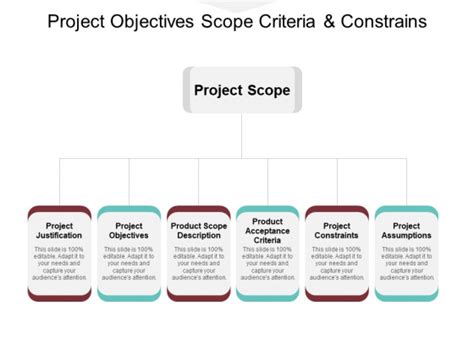 Project Objectives Scope Criteria And Constrains Ppt Powerpoint
