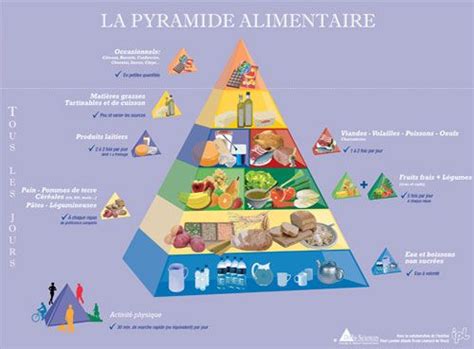 6 to 11 servings of bread, cereal, rice and pasta occupied the large base of the pyramid; 12 best images about Food Guides- Around the World on ...