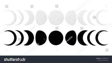 Realistic Moon Phases With Texture Vector Full Royalty Free Stock