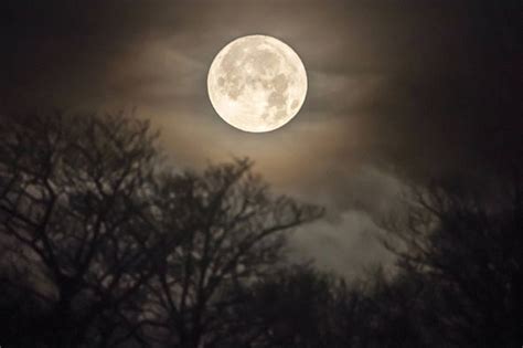 Grab your camera and head outside tonight for a chance to catch a glimpse of the super pink moon, named for the small, pink flowers of the spring season. Supermoon 2017 pictures: BEST images of the full moon | UK ...