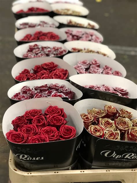 Tinted Flowers Vip Roses