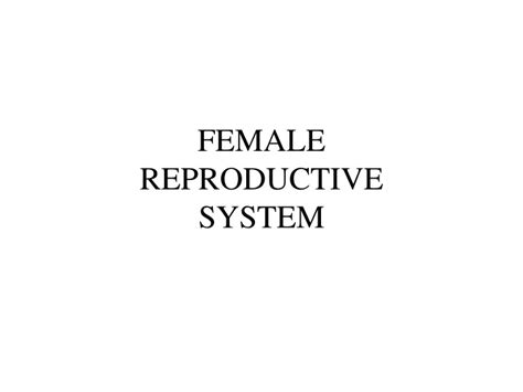 Ppt Female Reproductive System Powerpoint Presentation Free Download Id9488343